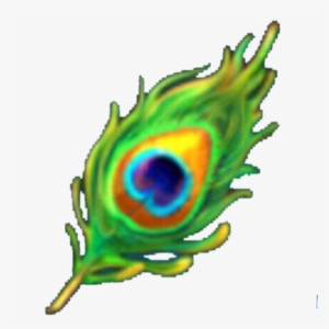 Peacock Feather - Illustration #1975425 Peacock Feather - Illustration #1975425