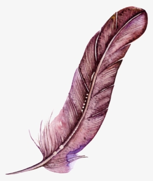 Dark Red Feather Cartoon Watercolor Beautiful Transparent #1975426
