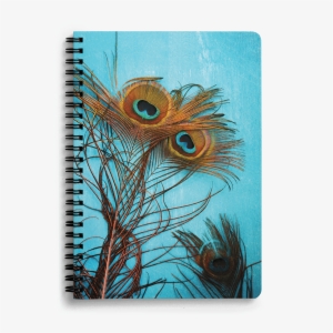 Dailyobjects 3 Peacock Feathers A5 Notebook Plain Buy #1975505