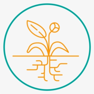 Hyi Icon Growth 01 - Icon #1975542