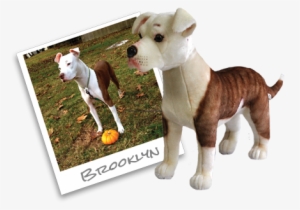 Brooklyninstagram - Toy #1976110