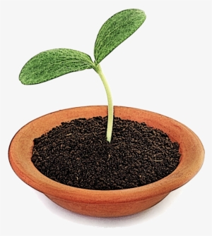 Return To Paradigm Change Resources - Pumpkin #1976132