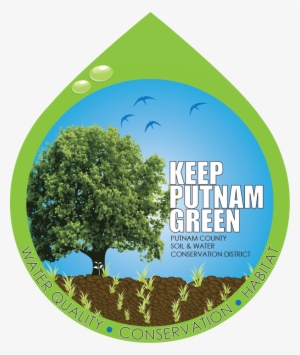 Plant Putnam 2016 Putnam County Tree And Shrub Seedling - Shrub #1976299