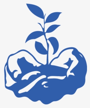 Hand Holding A Seedling - Icon For Social Justice #1976461