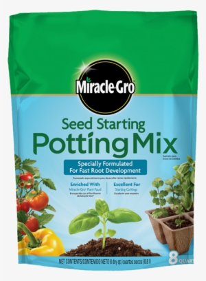 Seedling Png #1976552