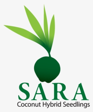 Contact For The Best Sara Coconut Hybrid Seedlings - Sastra Deemed To Be University Logo #1976679
