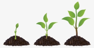 Clipart Sprout Drawing Seedling #1976787