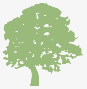 How To Set Use Oak Tree Icon Png #1978645