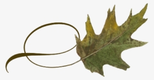 Spring Flowers, Autumn Leaves, Grapes Twisty Oak Leaf - Wedding #1978728