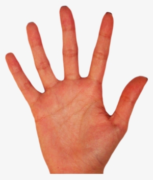 Palm Of Hand Png #1979281
