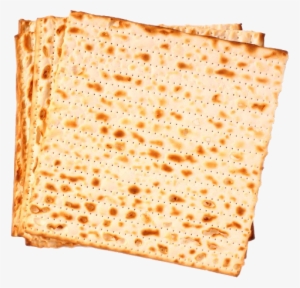 Let's Practice Reading Passover Hebrew Words - Passover #1981276