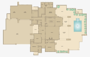 Eagle Feather Lot - Ef Education First #1981589