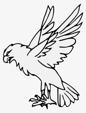 Details, Png - Pdf #1981670