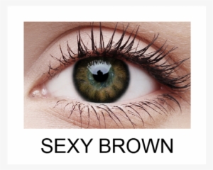 Colourvue Big Eyes - Contact Lenses Colour #1984167