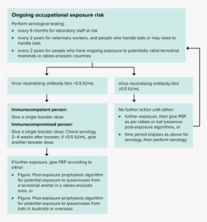 Booster Algorithm For People At Ongoing Risk Of Exposure - Lyssavirus #1985300