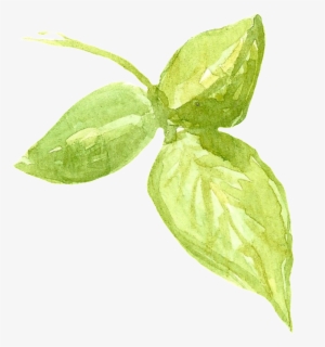 Portable Network Graphics #1985675