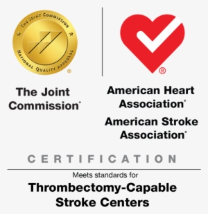 Dsc Aha Thrombo Logo Final - Primary Stroke Center #1986861