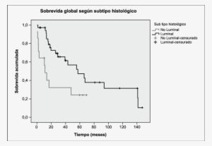 Sobrevida Global De Una Cohorte De Pacientes Con Cáncer - Breast Cancer #1987101