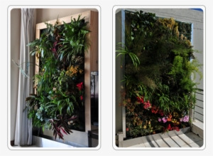 Living Walls For Indoors And Outdoors - Green Wall #1987524