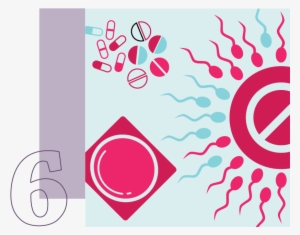 6 - Infografia De Planificacion Familiar Mexico #1987525