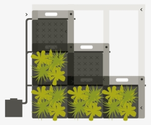 Structure Of A Sempergreenwall - Structure #1987698