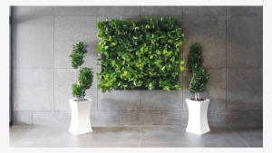 Living Wall 02 - Green Wall #1987716