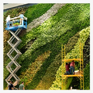 Green Wall Installations - New York City #1987902