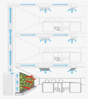 How Do Living Green Walls Work - Airflow #1988202