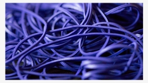 Today, When You Order "joe Rindfleisch's Rainbow Rubber #1989670