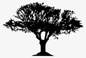 Abstract, Ağaç, Agriculture, Art, Backdrop, Background, - Silhouette #1991674