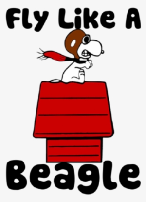 A Few Peanuts / Snoopy / Charlie Brown Preservation - Fly Like A Beagle Snoopy #1992719