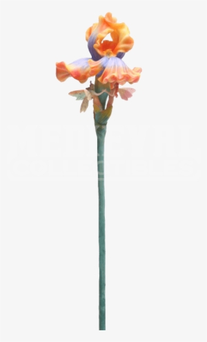 Item - Iris With Winged Fairies Flitty Statue Figurine In #1993341