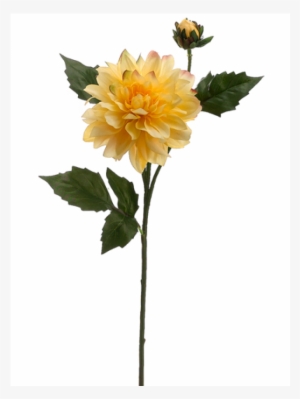 5" Dahlia Spray With 1 Flower And 1 Bud Yellow - Silk Plants Direct Dahlia Spray - Yellow - Pack #1993442
