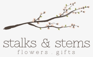 Best Online Florist Brisbane - Stalks And Stems #1993474