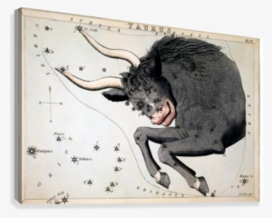 Taurus Art - Sidney Hall Canvas Art Prints - Taurus Constellation #1994326