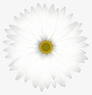White Flower Clipart Png #1994466