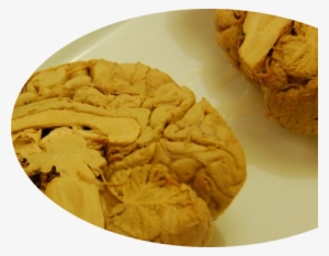 Peanut Butter Cookie #1994806