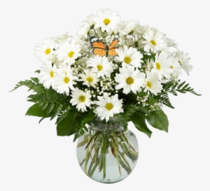 Daisy Vase, Large - Royer's Flowers & Gifts #1994963