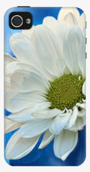 Cases Screen Guard - White Daisy On Blue Iphone 6 Slim Case By Micklyn #1995206