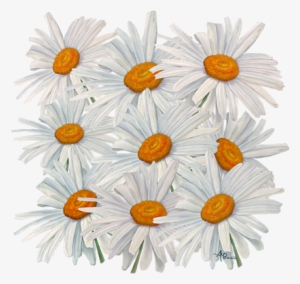 Bleed Area May Not Be Visible - English Marigold #1995311