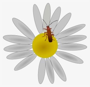 How To Set Use Bug On A Daisy Svg Vector #1995313