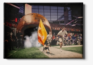 University Of Tennessee Athletics Official Photo Prints - University Of Tennessee #1997959