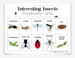 Interesting Insects Educational Product #1998422