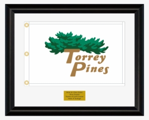 Beige - Torrey Pines Golf Course #1998591