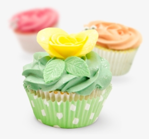 What - Cupcakes Lime Transparent Background #1999595