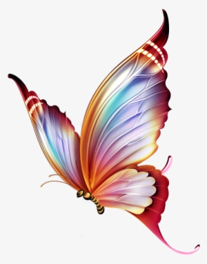 Imagen Colorful Butterfly Tattoo, Butterfly Colors, - Butterfly Colour Pencil Drawings #20056