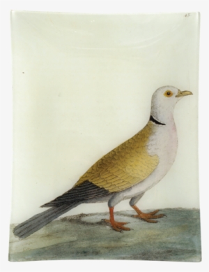 Turtle Dove - Decoupage #20148