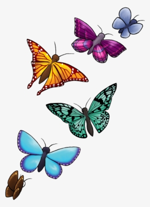 Butterfly - Butterfly Designs Png #20651