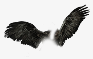 Dark Wings Png Black Wings Pngs - Wings Png For Picsart #20886