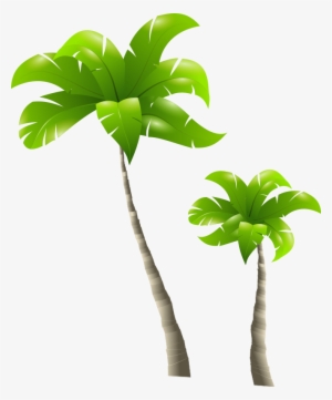 Tall Tree Png Transparent Tall Tree Png Image Free Download Pngkey
